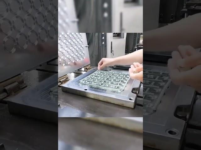 Rubber O Ring