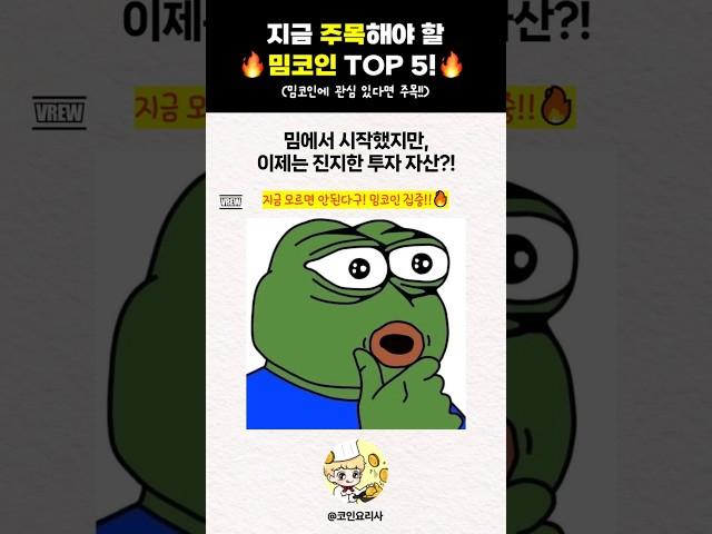 지금 주목해야 할 밈코인 top5