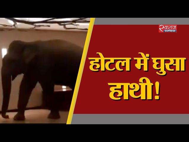 होटल में घुसा हाथी! | Elephant walks into Sri Lankan hotel