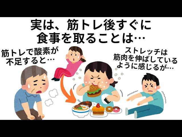 【総集編】筋トレのためになる雑学まとめ