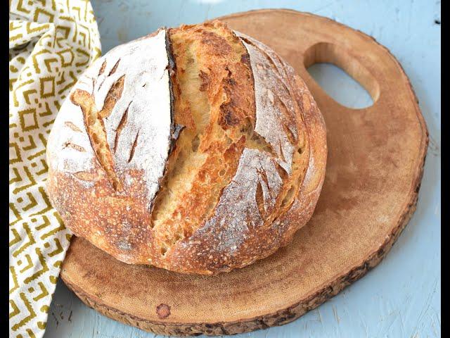 Simple Sourdough bread With All purpose flour