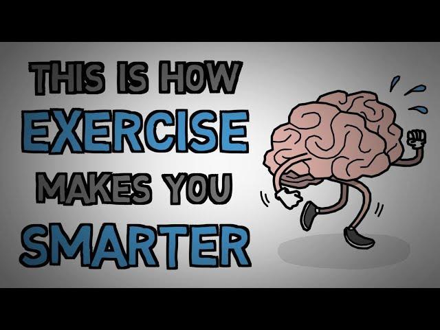 Exercise Makes You Smarter - This Is Why (animated)