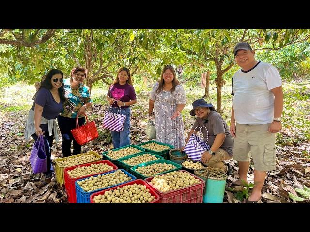 1st time Makakakita! UNLIMITED LANZONES sa 50 Hectares Orchard + DUKU VARIETY Super Sarap!