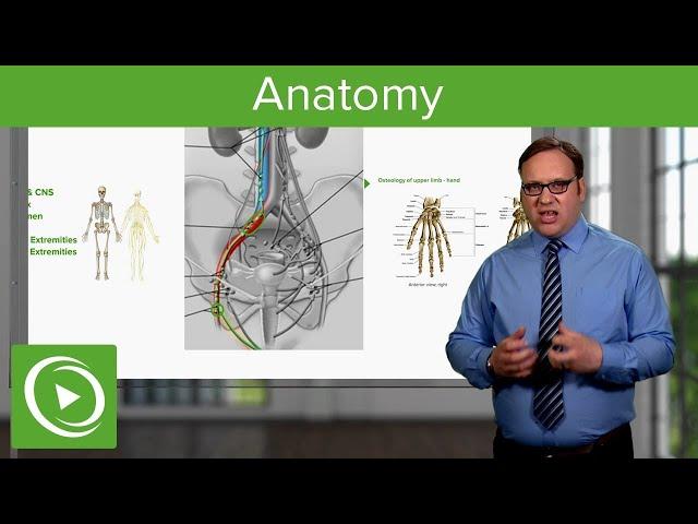 How to Master Human Anatomy  – Course Preview | Lecturio