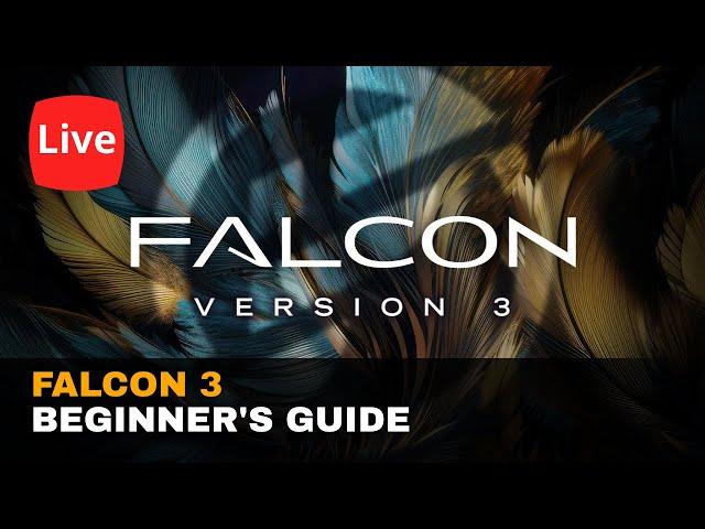 Live: UVI Falcon 3 - Beginner's Guide