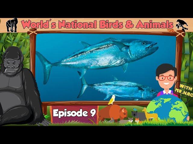 Episode 9 | World's National Birds and Animals | Numismatics Academy | Change2e