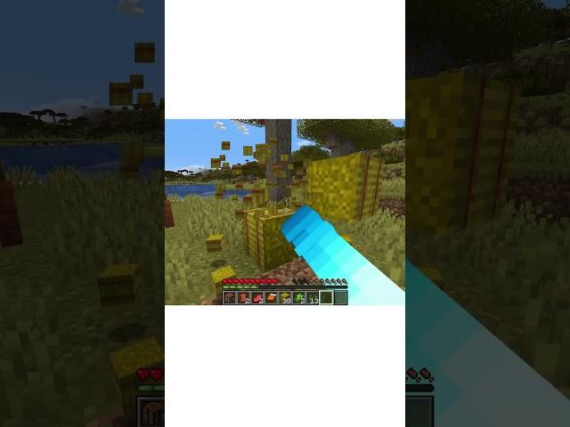 theirs so much wheat #minecraft #fyp #shorts #minecraftseries #gaming #survivalseries