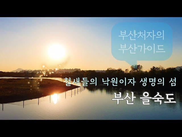 Busan Guide/Korea/부산의 자랑 을숙도 가이드