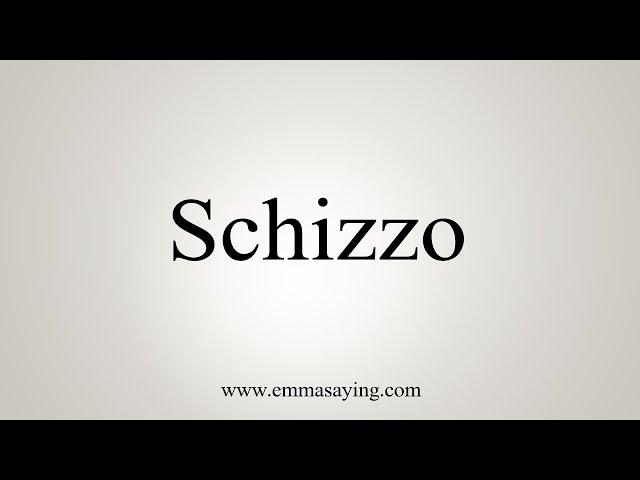 How To Say Schizzo