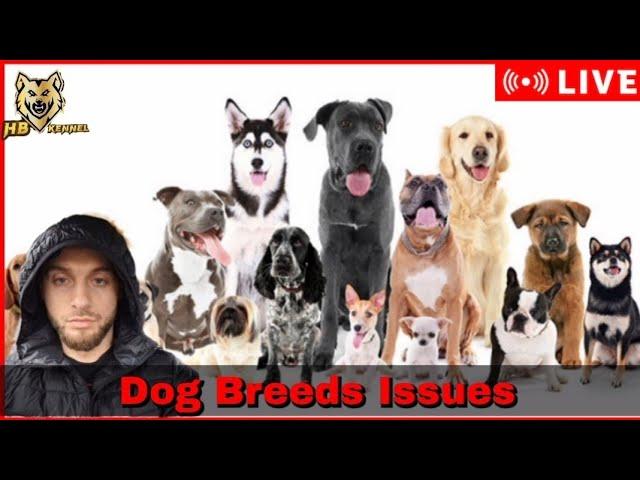 What Are The Most Common Dog Breeds Issues That My Subscribers Have ?