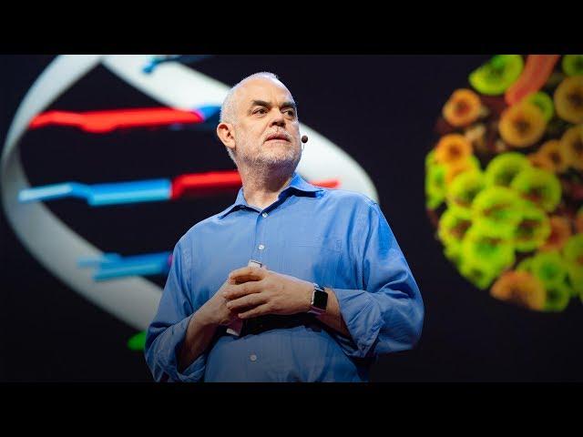 The radical possibilities of man-made DNA | Floyd E. Romesberg