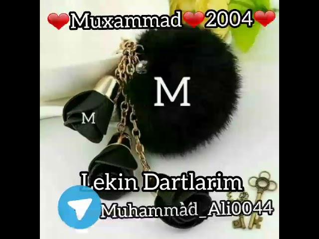 Muhammad Blogger