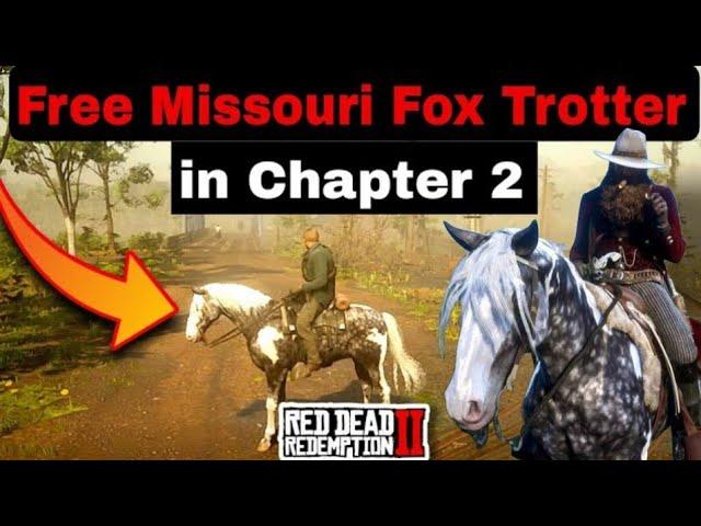 How to Get Rare Missouri Fox Trotter From Saint Denis Stables in Chapter 2 For Free Glitch