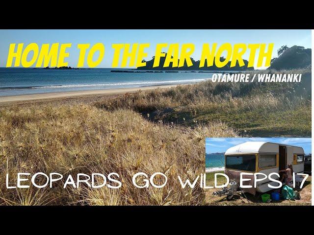 Home to the Far North - Otamure. Leopards Go Wild Eps 17