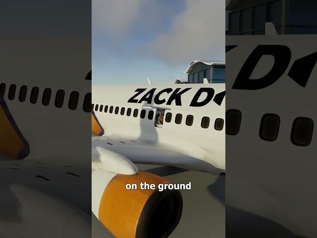 Pulling The Emergency Door On A Plane 
