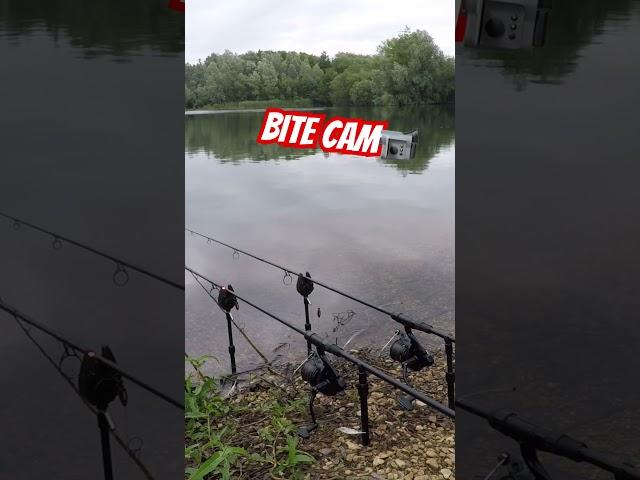 BITE TIME! #fishing #adventure #carp #fish #life #love #lake #youtuber #shorts #summer #uk #explore