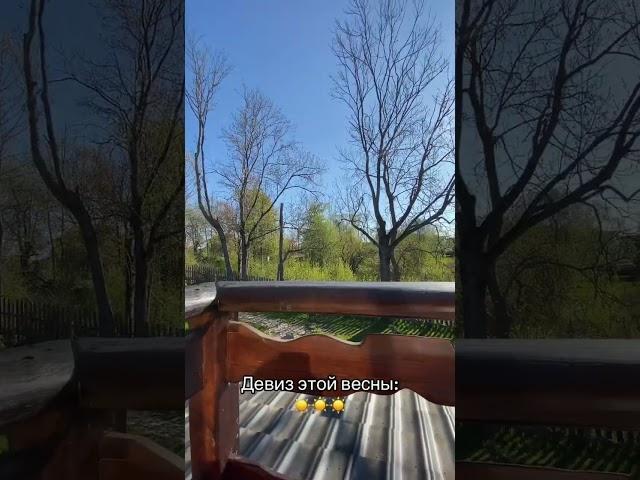 Не упусти шанс провести лучший отдых на Нарочи! #природа #беларусь #отдых #нарочь #озеро #рек