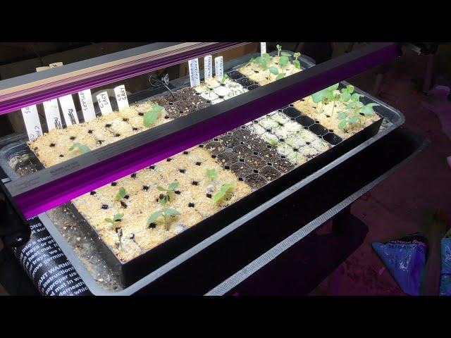  HOSS TOOLS GROW LIGHT AND SEEDLING HEAT MAT REVIEW  NEW TOYS!