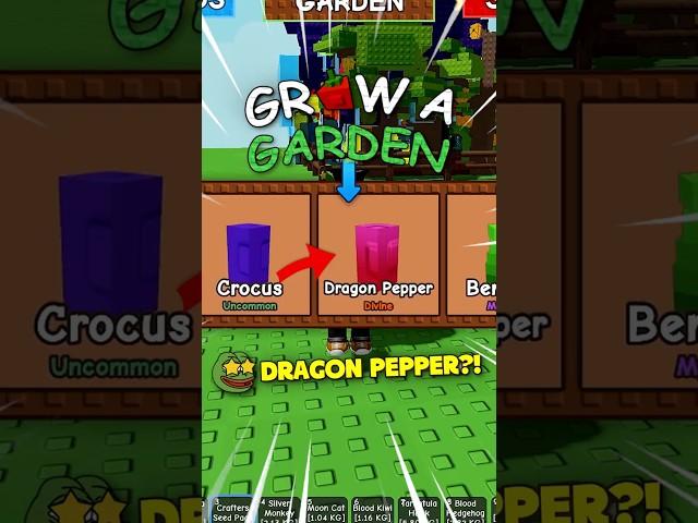 Opening 25 Crafters Seed Pack  #roblox #growagarden