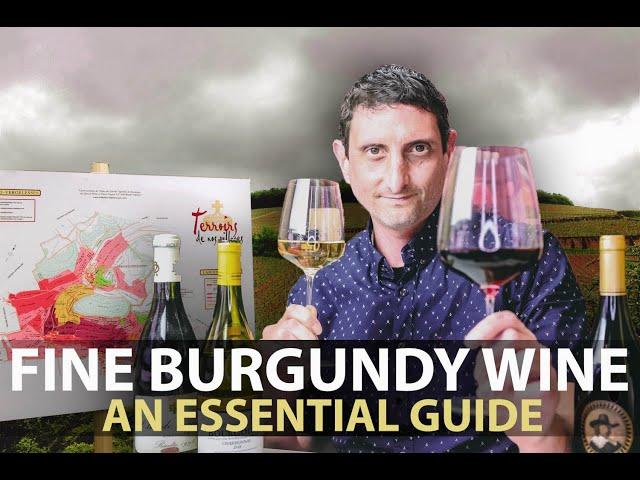 10-Minute Guide to Burgundy | Fine Wines from Bourgogne Part.#1