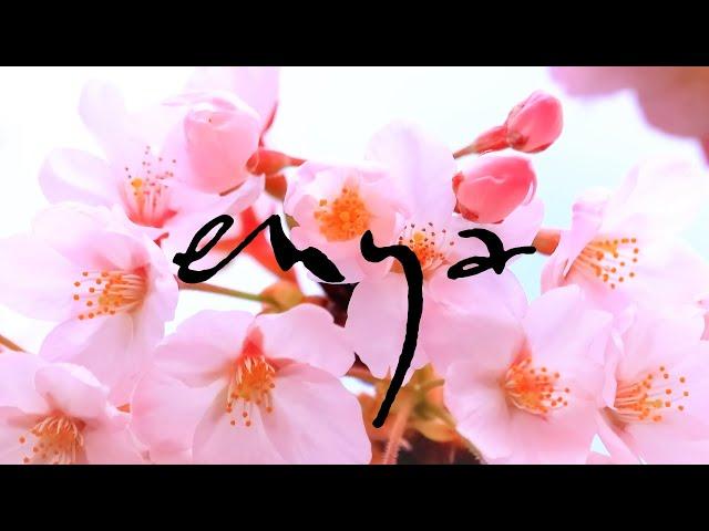 【桜のBGM】癒し効果絶大！エンヤ・ベスト曲集　第6弾