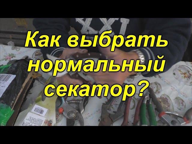 Лучший секатор, какой он?