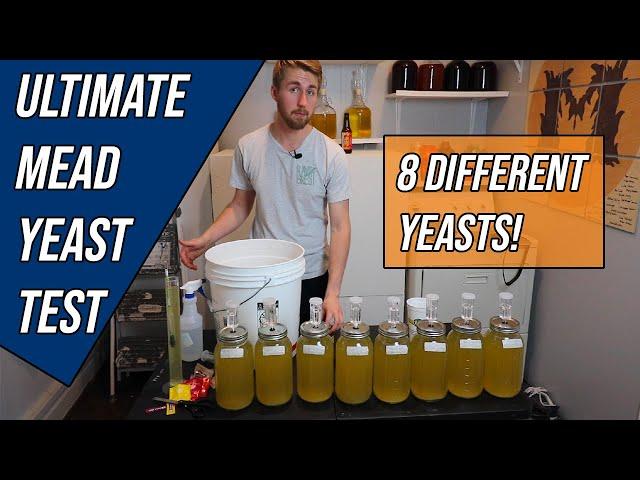 Huge Mead Yeast Test (8 Yeasts) UPDATED VIDEO w/ 20 YEASTS IN DESCRIPTION