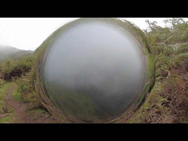 Der Feenwald auf Madeira bei Fanal Oktober 21