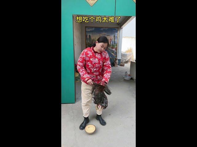 想吃个鸡太难了#爱搞笑范姐#搞笑视频