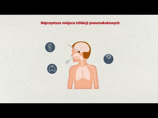 PneumoOnko program szczepień przeciwko pneumokokom dla mieszkańców Warszawy (NAPISY)