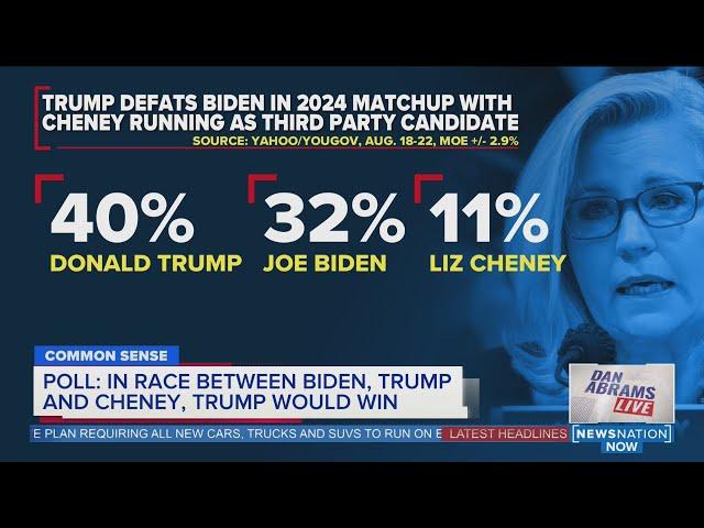 Poll: Trump would win in matchup with Cheney, Biden | Dan Abrams Live