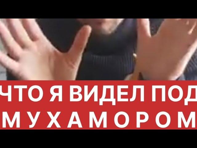 ЧТО ПОКАЗАЛ МУХОМОР (Денис Педант)