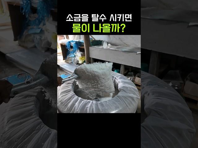 [100만]너무 신기한 소금 탈수 #shorts