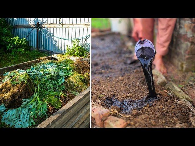 How I Transformed Our Compost Area Into a Microbe Paradise!