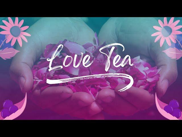 Love tea | Pukka Herbs