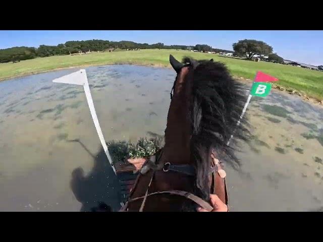 GoPro: Lissavorra Quality (Open Preliminary | 2024 Ocala Summer II Horse Trials)