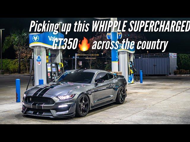 FLYING 2000 MILES TO PICK UP THIS WHIPPLE SUPERCHARGED GT350…