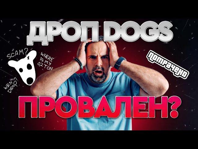 Дроп DOGS от BLUM на $2,500,000 | Успех или провал? | Следующая раздача совсем скоро?