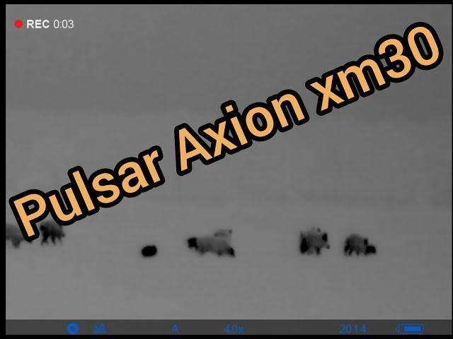 Pulsar Axion xm30 test, wild boars at different distances