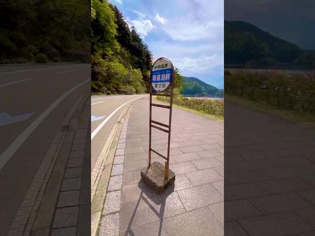 旅先でバス停に時刻表がない絶望。#vlog  #一人旅