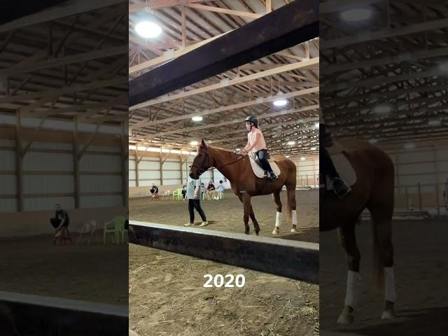  #equestrian
