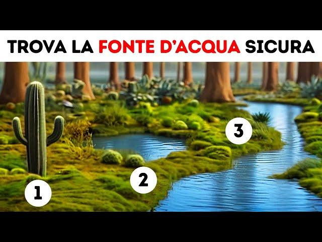 Quanto Resisteresti? Test di Sopravvivenza nella Natura Selvaggia