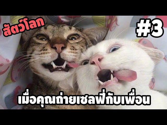 Ep.3 สัตว์โลกกวนตีน - [ พากย์นรก ] | easy boy