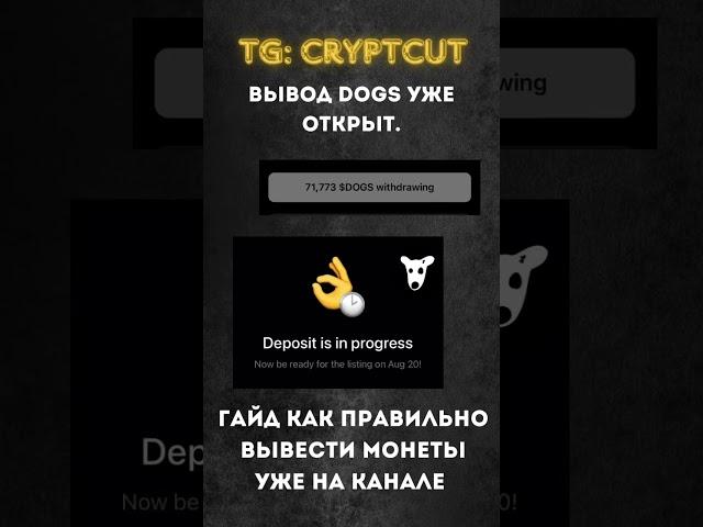 КАК ВЫВЕСТИ DOGS на биржу или кошелек | Полный гайд уже на канале | DOGS Telegram | ТГ: cryptcut