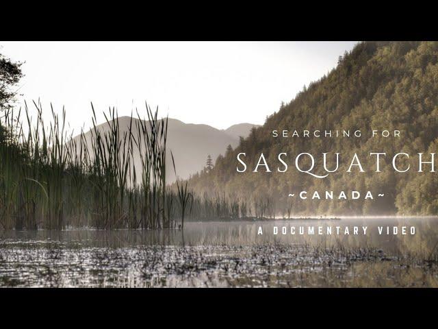 Searching for Sasquatch  |  Canada  |  Documentary