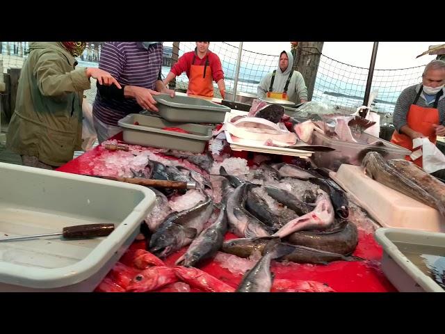 Kapinoy sa America seafood market day in Newport pier california