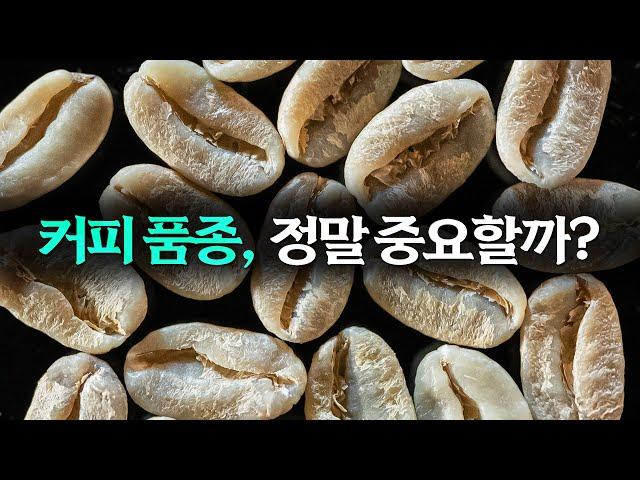 커피인이라면 늦기 전에 보셔야합니다