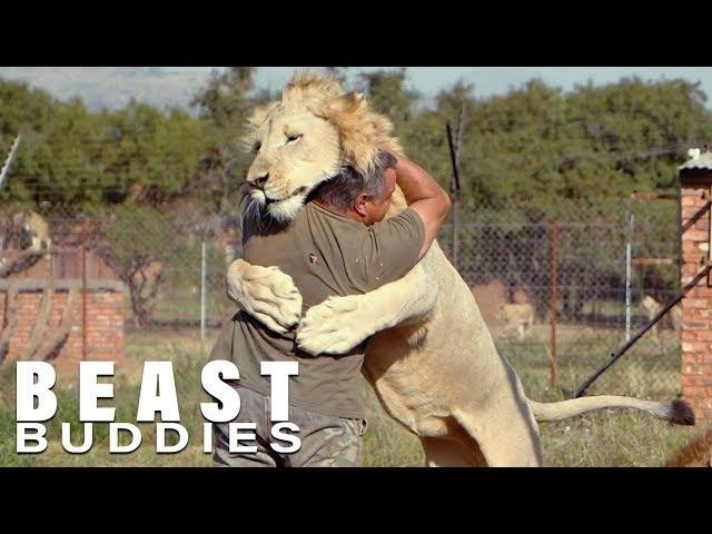 The Man Who Cuddles Lions | BEAST BUDDIES