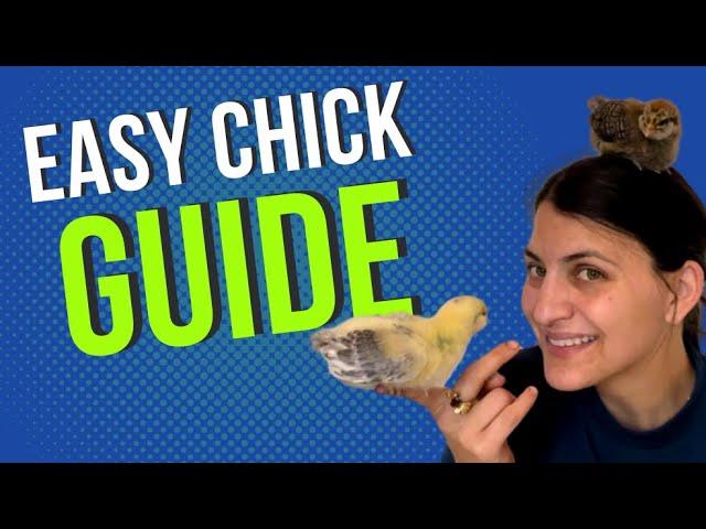 Don’t buy that. Minimalist guide to raising chicks.