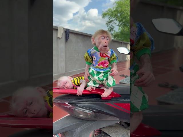 So cute